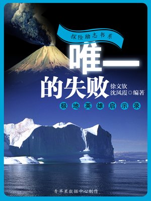 cover image of 唯一的失败